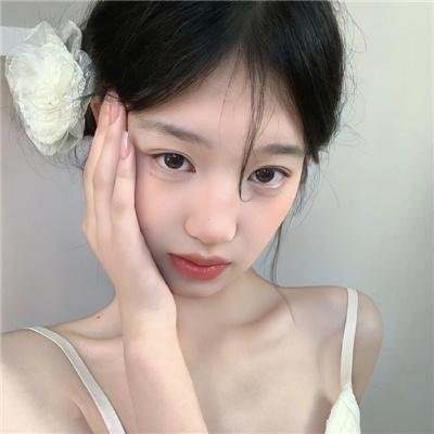 皇家飞凤
